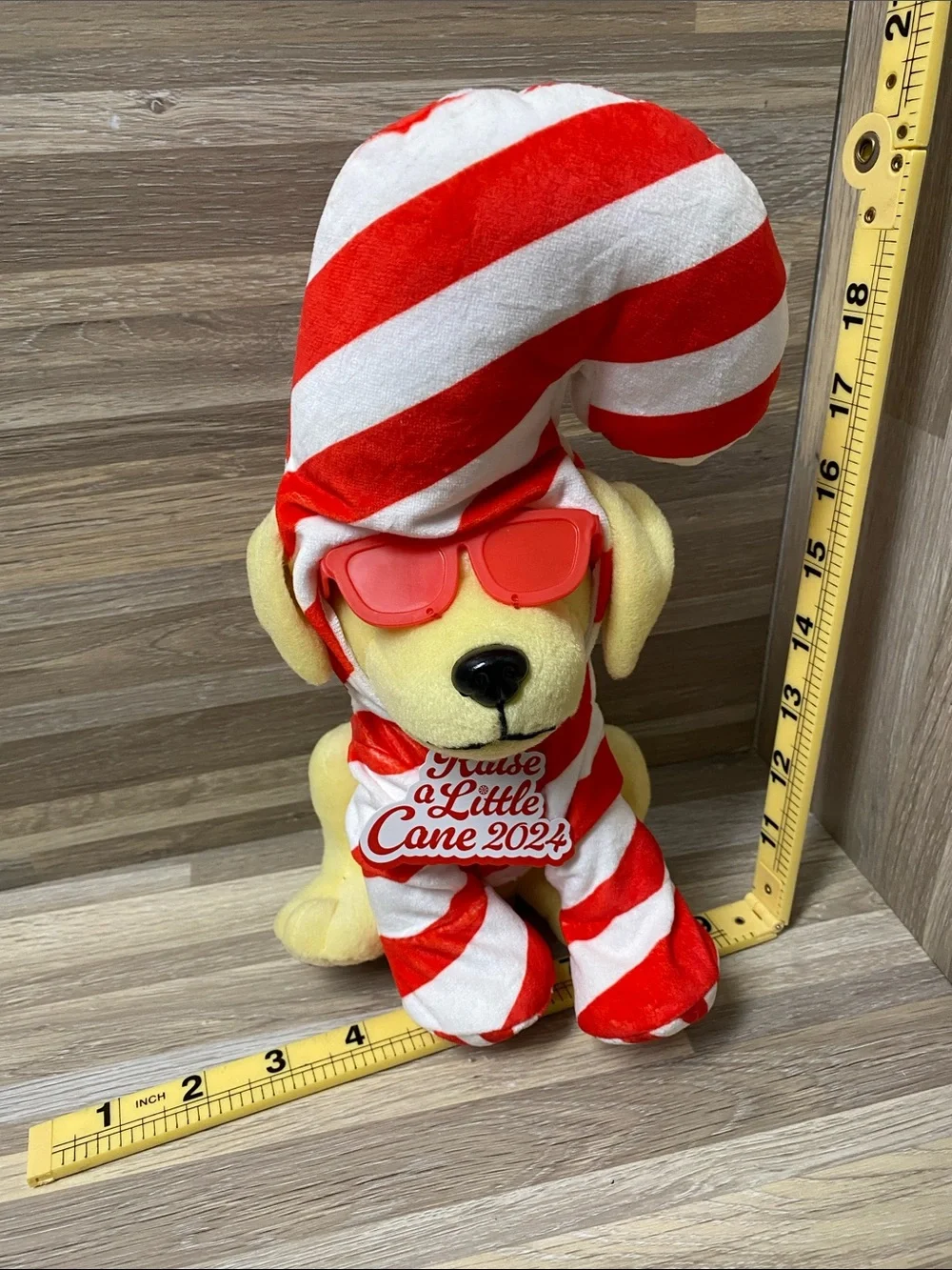 Raising Canes plush dog cosplay Christmas raising Canes chicken fingers mascot